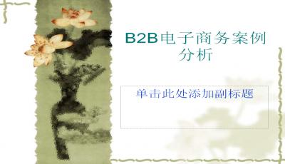 b2b網(wǎng)站開發(fā)ppt