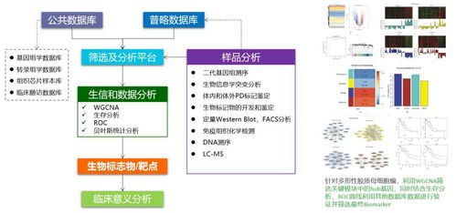 普略醫(yī)學 臨床醫(yī)生的轉化醫(yī)學研究平臺